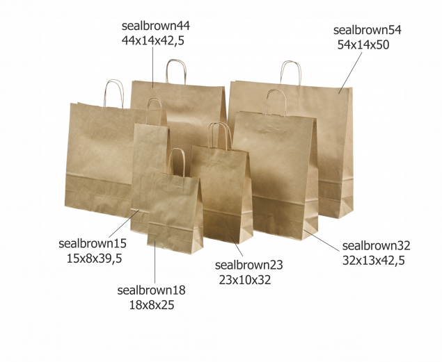 Brown Paper Bags with Rope Handles
