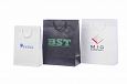 Eksklusive papirposer med logo | Referanser-eksklusive papirposer Solid eksklusiv papirpose med ti