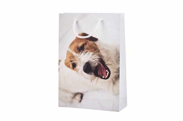 Lekkert utformet papirpose av h�y kvalitet. Velg mellom flere ulike st�rrelser. Minstebestilling m